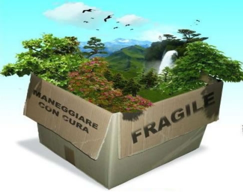 Salvaguardia dell’ambiente. Cosa posso fare io?
